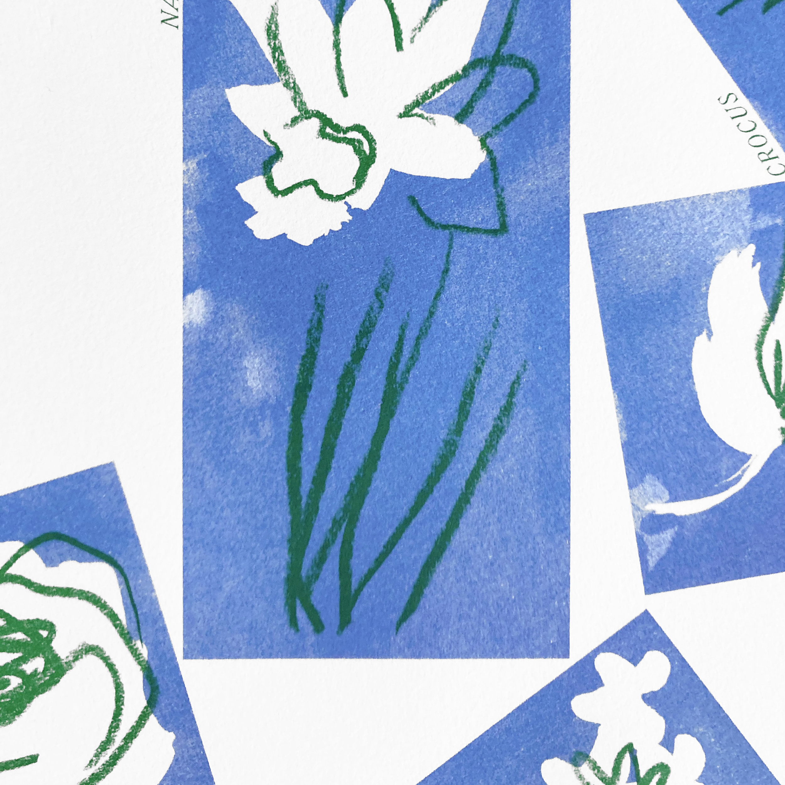Vue d'un détail de fleur imprimée en riso